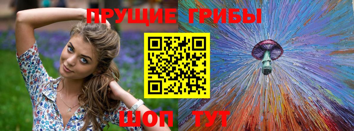 Галлюциногенные грибы Magic Shrooms Новоалтайск