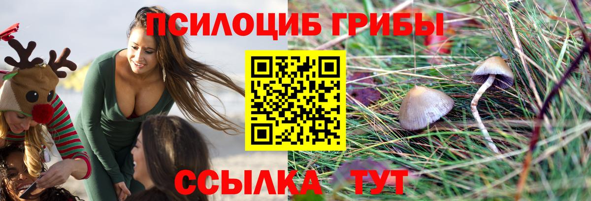 Новоалтайск  купить закладку  Псилоцибиновые грибы MAGIC MUSHROOMS  Вход с VPN  Галлюциногенные грибы мицелий 